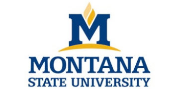 Montana State University logo